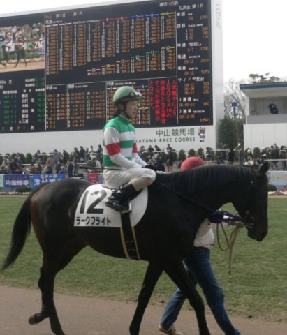 未勝利戦　パドック ラークフライト