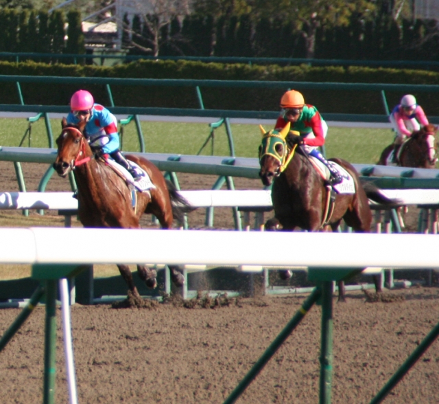 2008.12.06優勝2 シルクフォーチュン