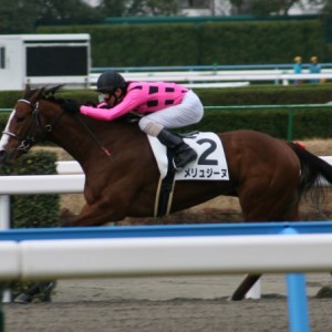２００９年２月２８日小倉１Ｒ