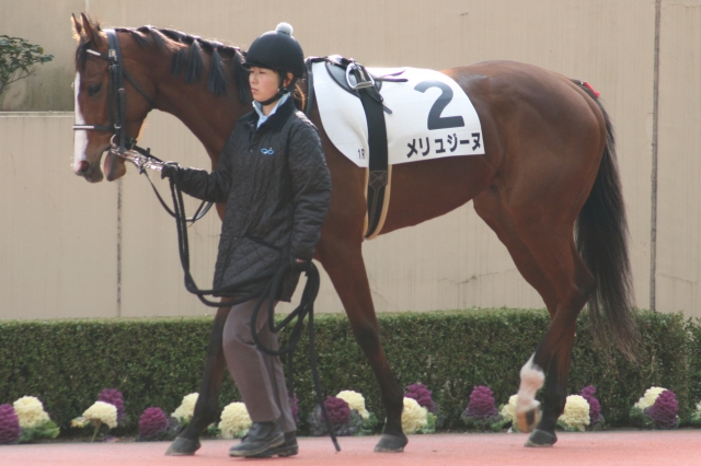 ２００９年２月２８日小倉１Ｒ メリュジーヌ