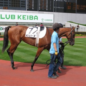 ２戦目パドック