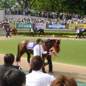 NHKマイルCパドック①