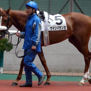 ２歳新馬