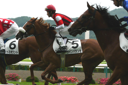 ２歳新馬 ウインパランセ