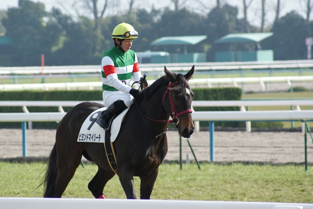 4戦目返し馬 ビヨンドマイリーチ