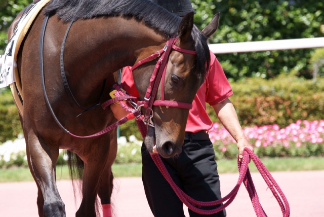 09.6.7中京3R3歳未勝利 ビヨンドマイリーチ