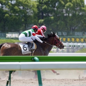 09.6.7中京3R3歳未勝利