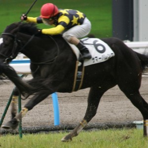 ２００９年２月２８日小倉３Ｒ