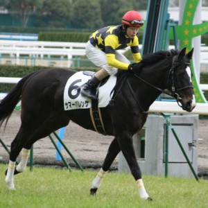 ２００９年２月２８日小倉３Ｒ