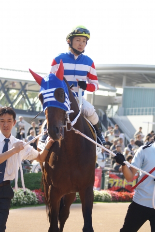 2011/11/6  マーリンシチー