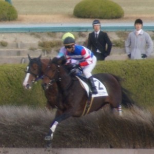 2013/12/14 ﾏｰﾘﾝ4