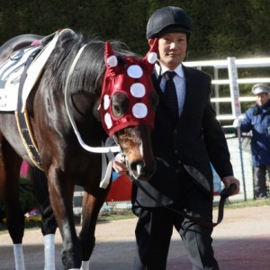 2011.1.16 京都８R　500　1800D　パドック