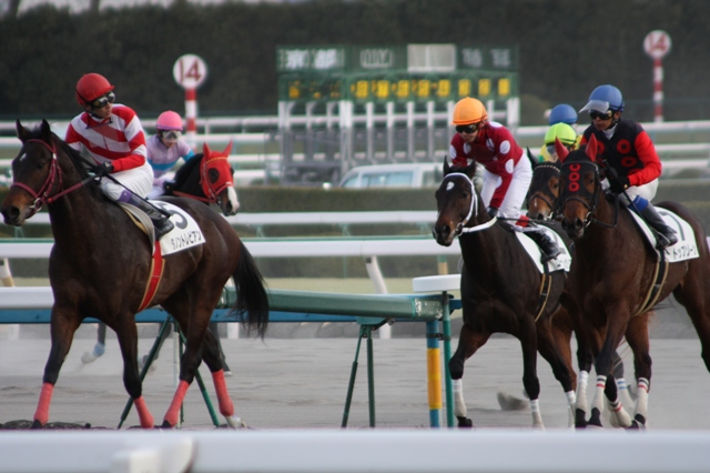 2011.1.16 京都８R　500　1800D　ゴール後 ローレルレガリス
