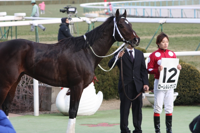 2011.1.16 京都８R　500　1800D　表彰式 ローレルレガリス