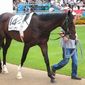 中山パドックにて