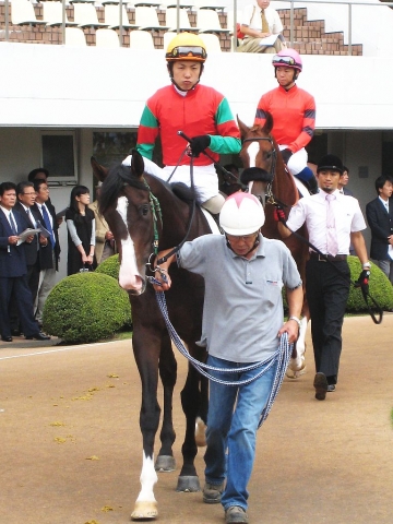 中山　松岡騎手を背に マイネルアリオン