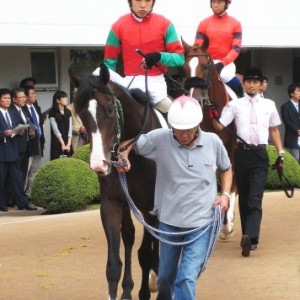 中山　松岡騎手を背に