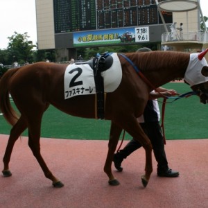 8/15 小倉６Ｒ ３歳未勝利戦パドック