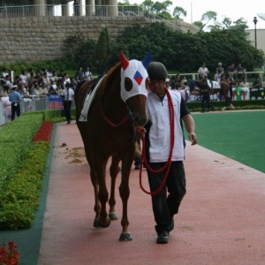 8/15 小倉６Ｒ ３歳未勝利戦パドック