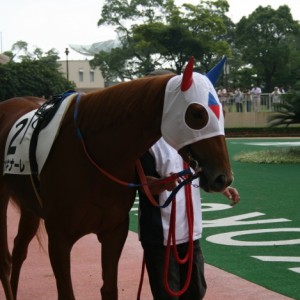 8/15 小倉６Ｒ ３歳未勝利戦パドック