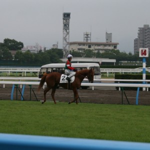 8/15 小倉６Ｒ ３歳未勝利戦入場時