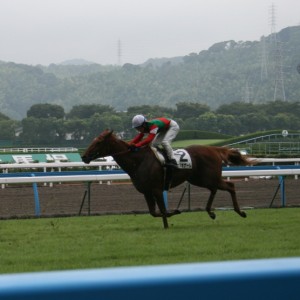 8/15 小倉６Ｒ ３歳未勝利戦ゴール前