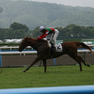 8/15 小倉６Ｒ ３歳未勝利戦ゴール前