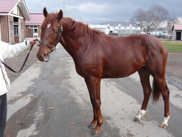 オールターゲット オールターゲット
