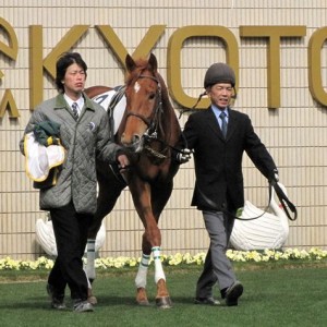 2009/2/21　3歳新馬