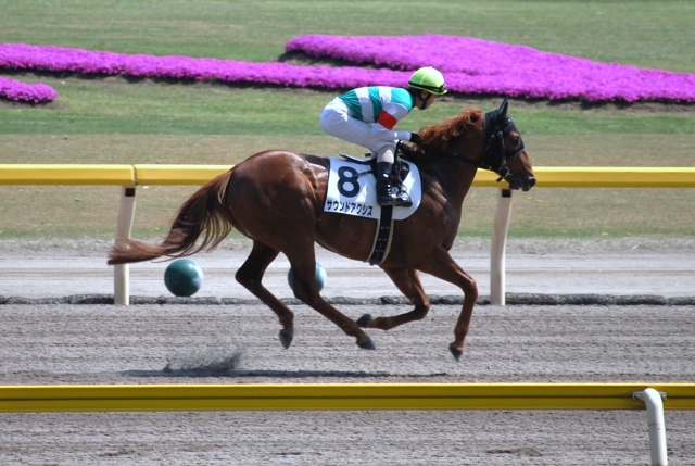 10/05/08 新潟 4歳上500万下 ダート1200m サウンドアクシス