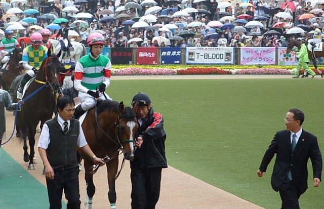 日本ダービー　パドックⅡ トライアンフマーチ