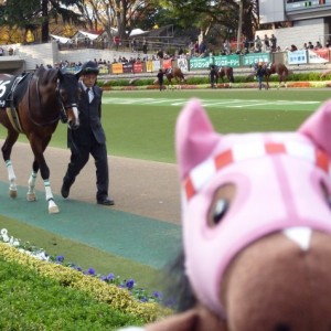 キャピタルS　パドック　メンコ