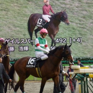 キャピタルS　本馬場入場