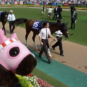 安田記念パドックⅠ