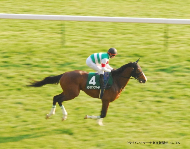 2010/1/30 東京新聞杯返し馬 トライアンフマーチ