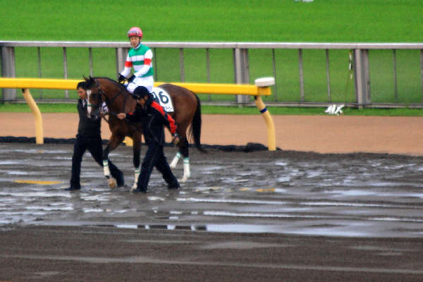 2009/05/31東京優駿（日本ダービー）本馬場入場その4 トライアンフマーチ