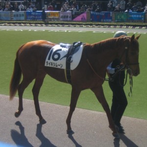 09年2月22日　東京  3歳未勝利パドック
