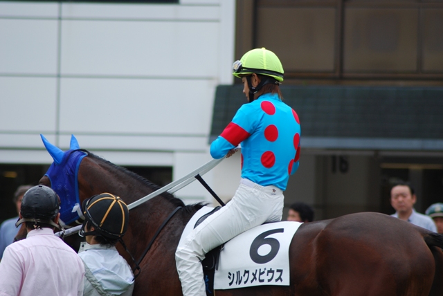 新馬戦パドック シルクメビウス