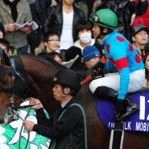 ジャパンカップダート　パドック(田中博康騎手騎乗)