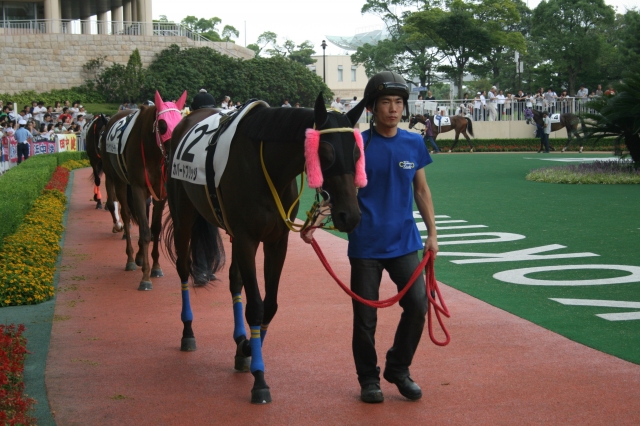 9/5 小倉４Ｒ ３歳未勝利（牝） ダ1,700 カバードブリッジ