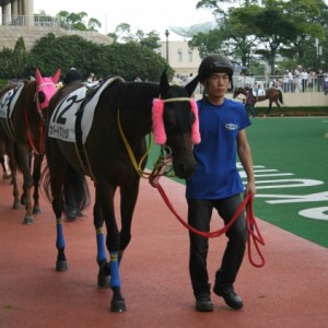 9/5 小倉４Ｒ ３歳未勝利（牝） ダ1,700