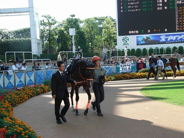 10/4中山9R 芙蓉ステークス スパラート