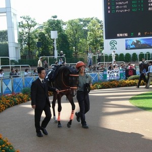 10/4中山9R 芙蓉ステークス