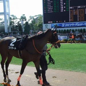 10/4中山9R 芙蓉ステークス