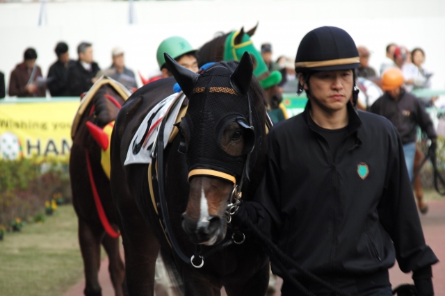 マルチサンド特別 スパラート