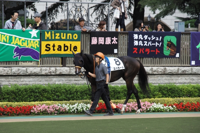500万下101017 スパラート