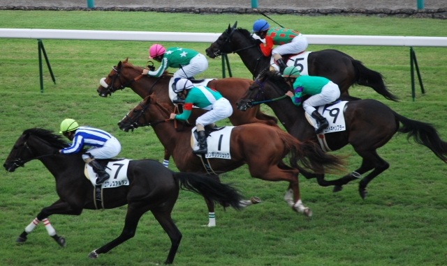 ゴール前の急坂（メイクデビュー中山） タイキグラディウス