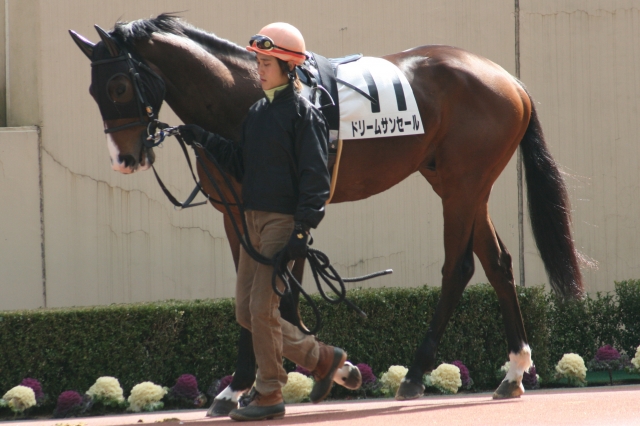 ２００９年２月２１日小倉４Ｒ ドリームサンセール