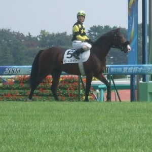 本馬場入場