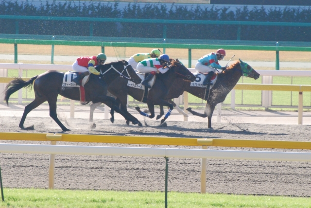 11月30日未勝利戦 レイクルイーズ